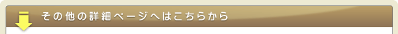 その他の詳細ページへはこちらから