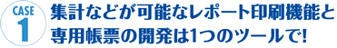 集計などが可能なレポート印刷機能と専用帳票の開発は一つのツールで!