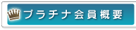 �v���`�i����T�v