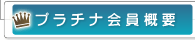 �v���`�i����T�v